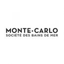 Monte-Carlo-SBM